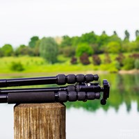 Портфолио Alexandra Boyd